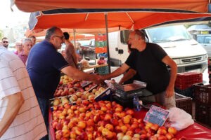 374182269 266711962874197 6165577687429945549 n